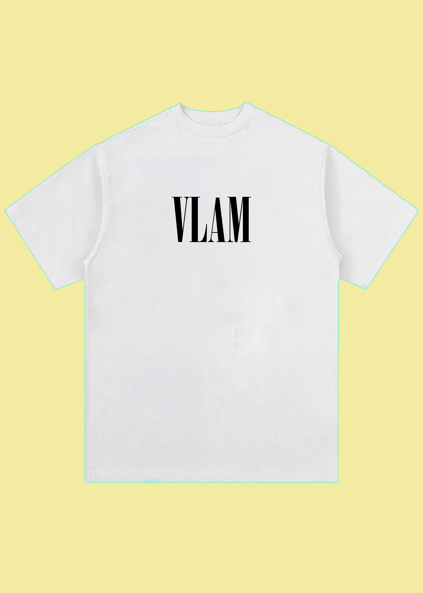 VLAM Graphic Bird Art Back Print Oversized T-shirt